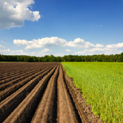 Agricultural/Farm Supplies Retailing and Wholesaling Colleges