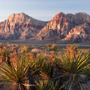 Colleges in Nevada
