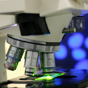 Immunology Colleges