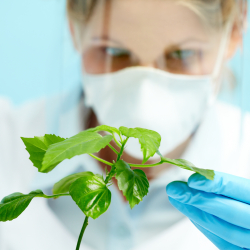Environmental Scientists and Specialists, Including Health